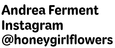 Andrea Ferment Andrea Ferment